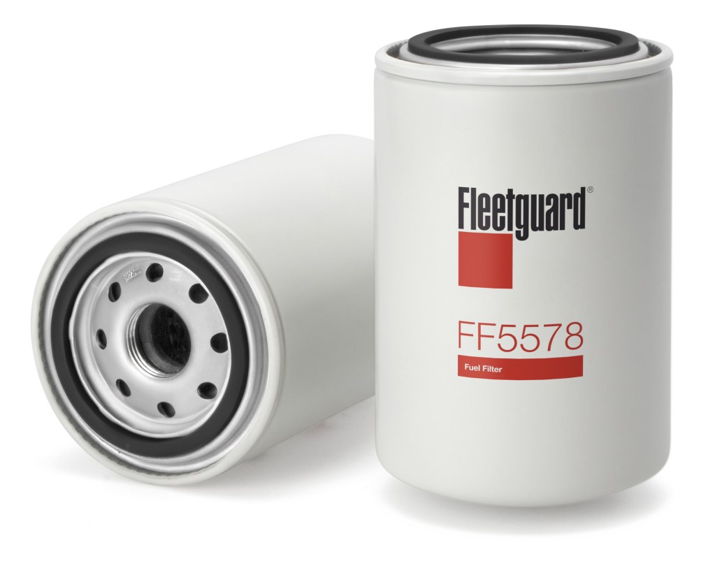 FF5578